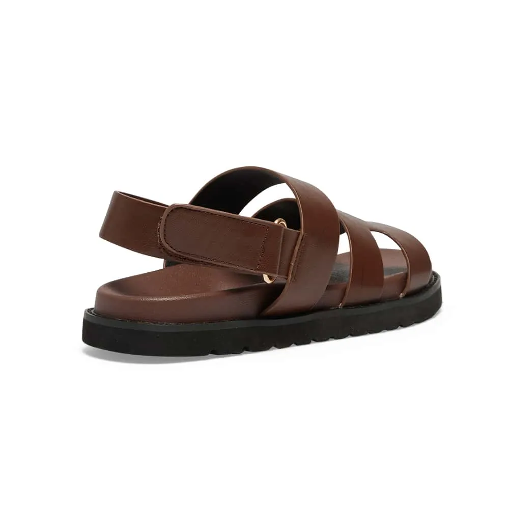 Daisy Sandal in Brown  Smooth