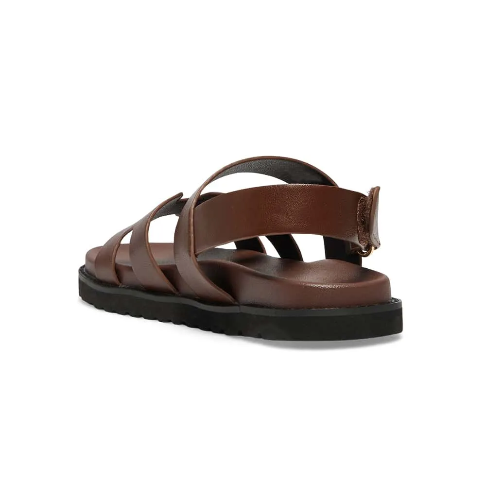 Daisy Sandal in Brown  Smooth