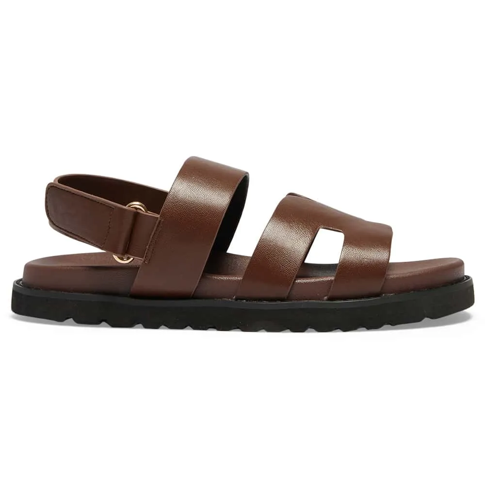 Daisy Sandal in Brown  Smooth