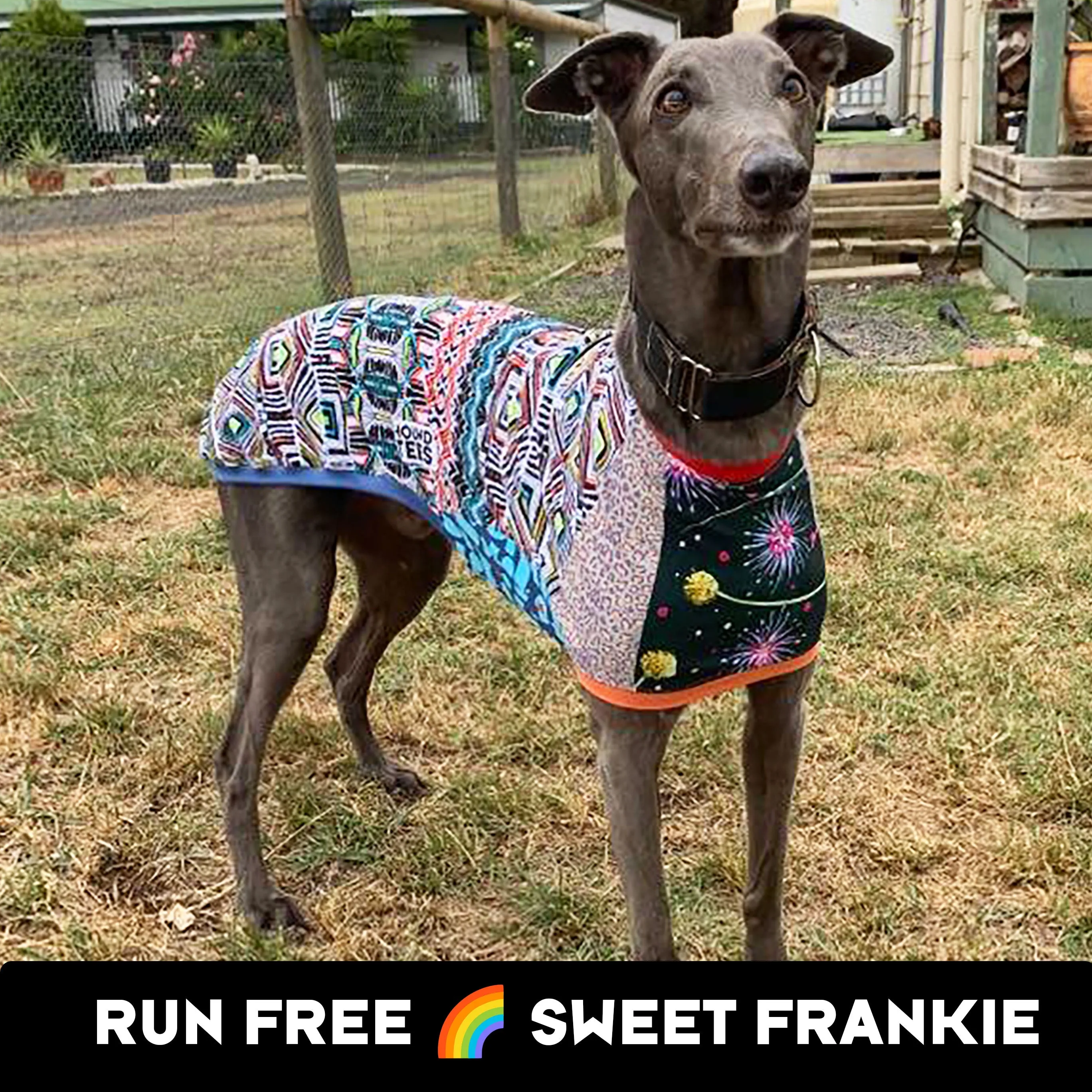 Frankie Whippet Sleeveless Hound-Tee